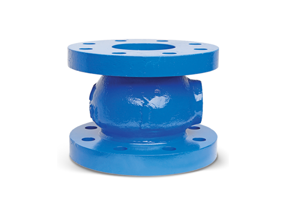 Flomatic Valves - 2244BTR2 - Model 402BTR2 6"